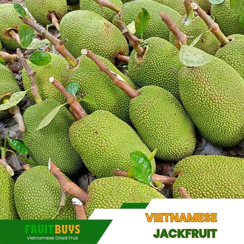 FruitBuys Vietnam Vietnamese Jackfruit 23105