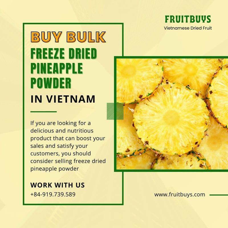 FruitBuys Vietnam Where To Buy Bulk Freeze Dried Pineapple Powder In Vietnam 231024