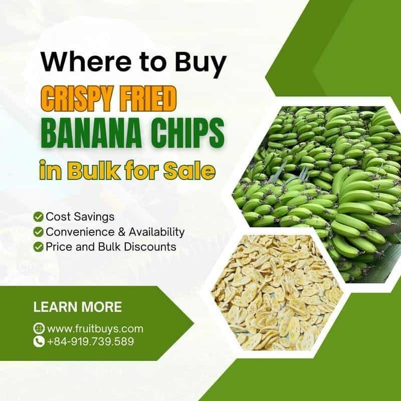 FruitBuys Vietnam  Where To Buy Crispy Fried Banana Chips In Bulk For Sale 231021
