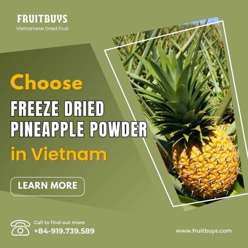 FruitBuys Vietnam Why Should You Choose Freeze Dried Pineapple Powder In Vietnam 231024