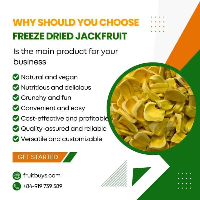 FruitBuys Vietnam Why Should You Choose FREEZE Dried Jackfruit 23108