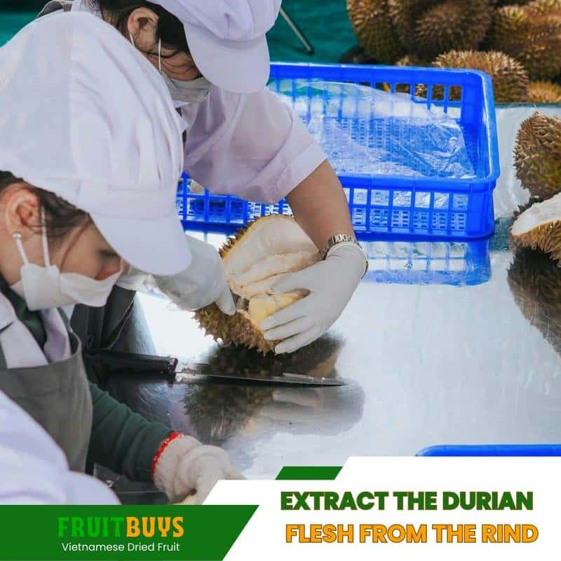 FruitBuys Vietnam Extract The Durian Flesh From The Rind 23102