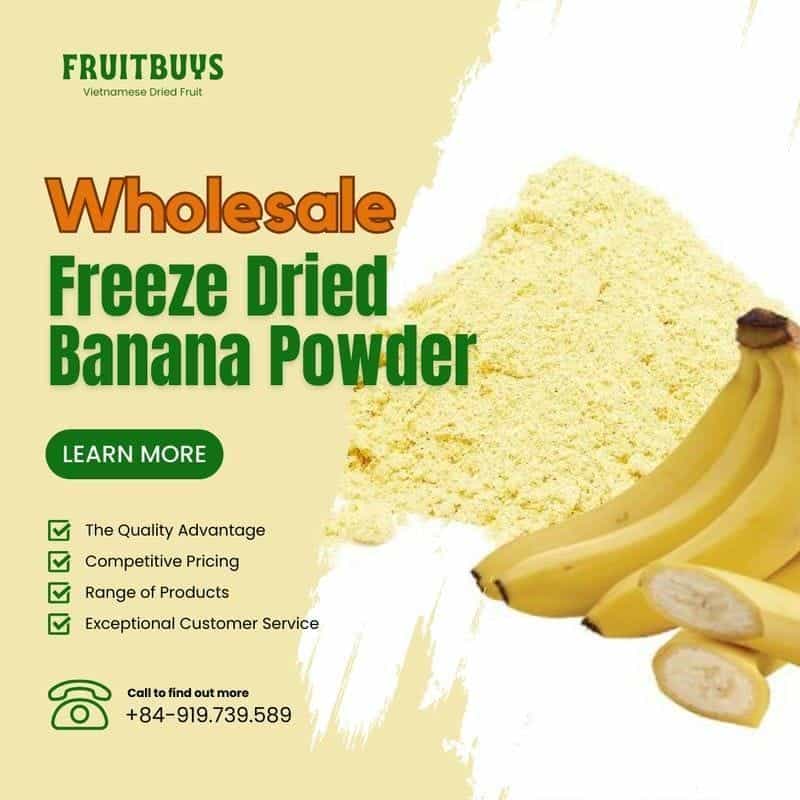 FruitBuys Vietnam Wholesale Freeze Dried Banana Powder 231021