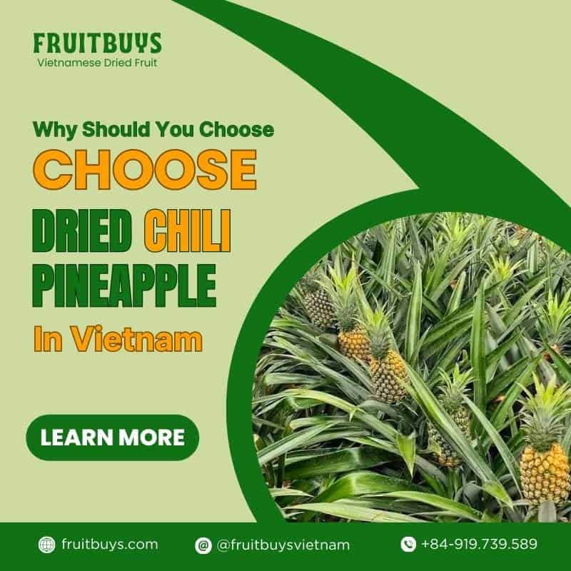 FruitBuys Vietnam Why Should You Choose Dried Chili Pineapple In Vietnam 23112