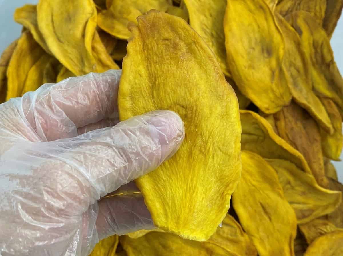 Close Up Texture Of Unsweetened Dried Mango Slice Showing Natural Fibers And No Sugar Coating