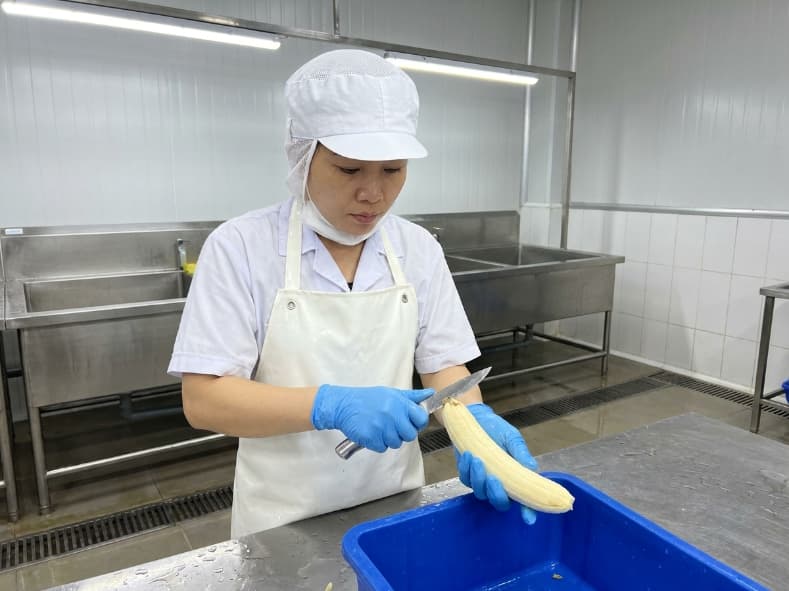 documentary photograph of a prep worker trimming fresh peeled banana pulp in a vietnamese processing facility
