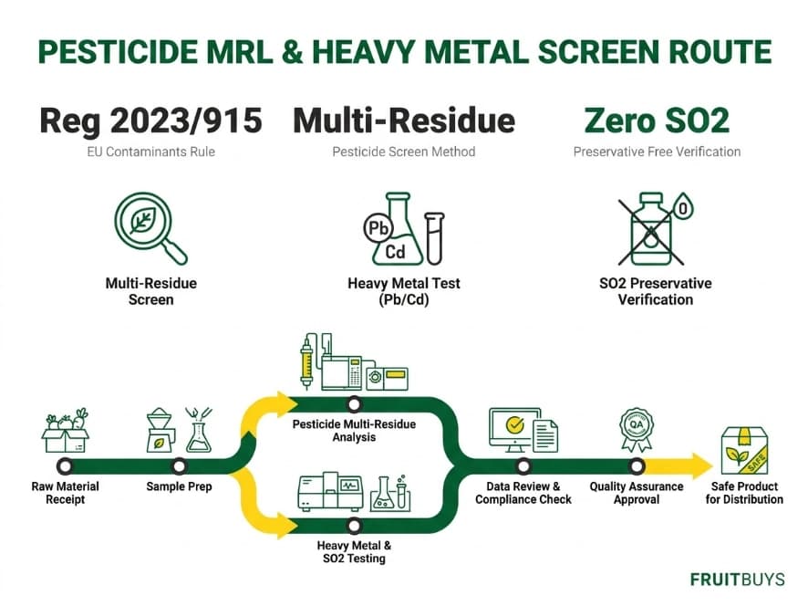 Freeze-Dried Soursop COA, Microbiology and Laboratory Testing flowchart infographic illustrating pesticide mrl testing and heavy metal contaminant screening for export