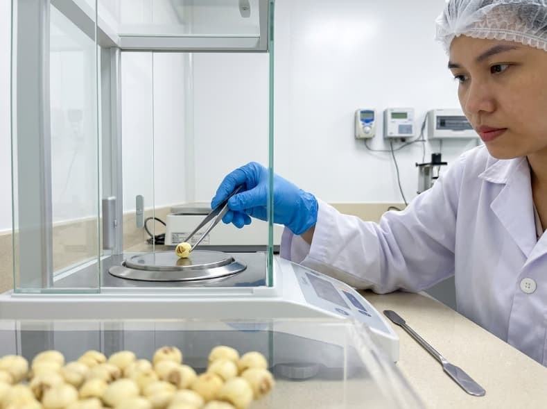 food r&d scientist measuring freeze dried lotus seed mass on precision analytical balance in lab.
