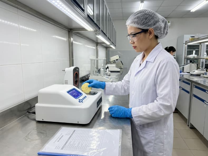 food laboratory technician testing water activity and moisture content of freeze dried pineapple wedges in vietnam