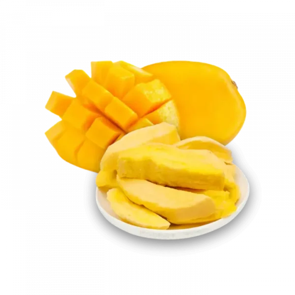 FruitBuys Vietnam   231221 Freeze Dried Mango 1