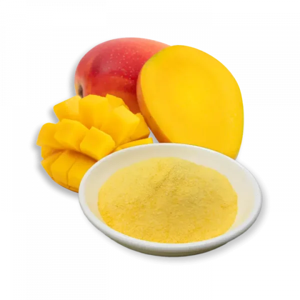 FruitBuys Vietnam   231221 Freeze Dried Mango Powder