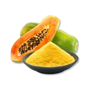 FruitBuys Vietnam   231221 Freeze Dried Papaya Powder