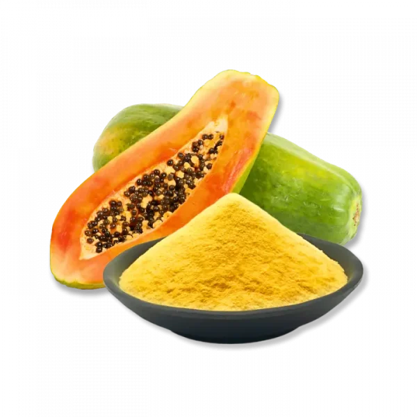 FruitBuys Vietnam   231221 Freeze Dried Papaya Powder