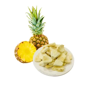 FruitBuys Vietnam   231221 Freeze Dried Pineapple