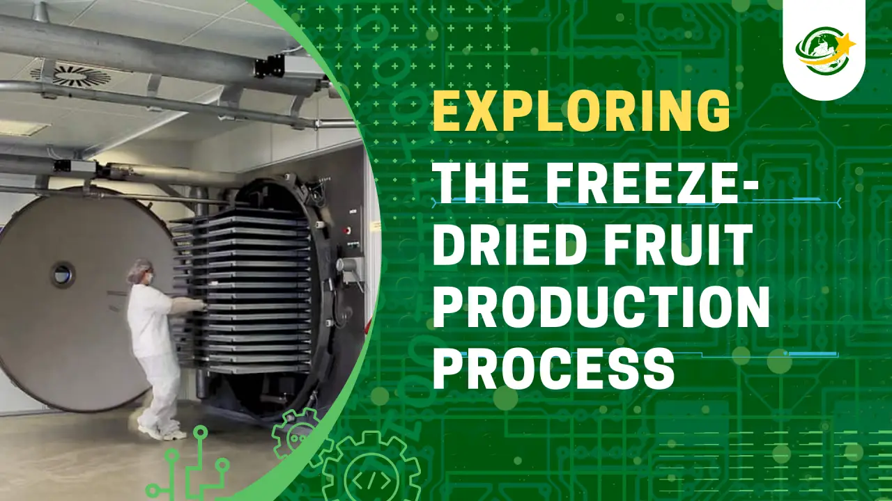FruitBuys Vietnam Production Process Of Freeze Dried Fruit Using Freeze Drying Technology At FruitBuys Vietnam