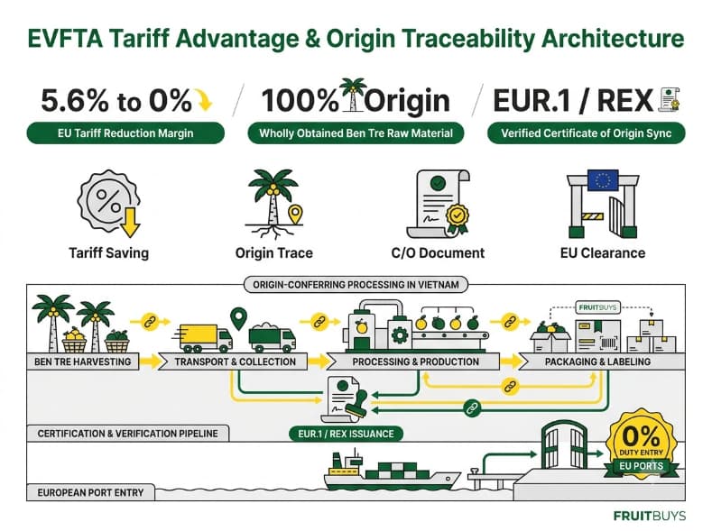 layered diagram infographic showing evfta preferential tariff savings and origin traceability for vietnamese coconut.