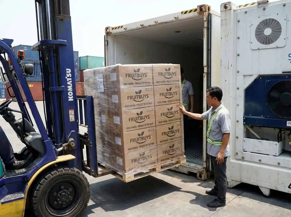 Loading A Temperature Controlled Reefer Container With Dried Mango At Cat Lai Port