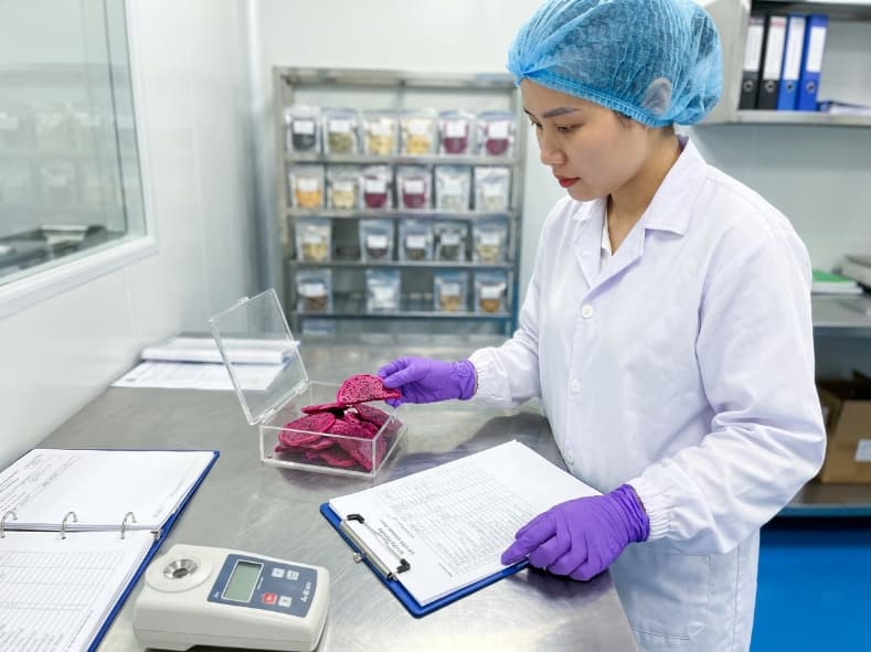 photographic documentary showing qa technician verifying freeze dried dragon fruit sample against release documentation
