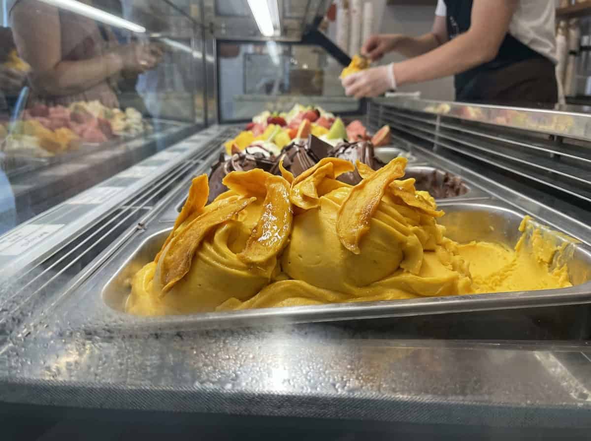 premium mango gelato topped with dried mango slices for professional food service.