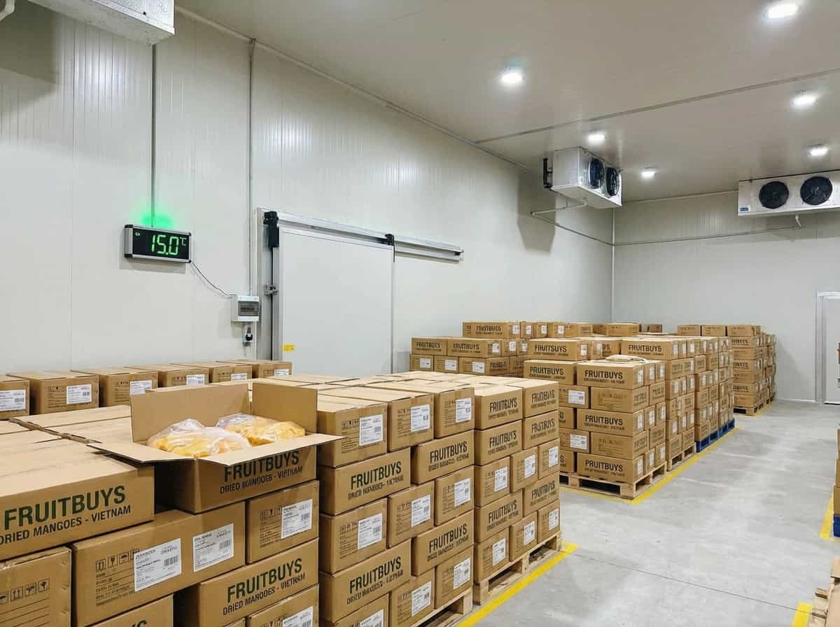 professional cold storage warehouse maintaining 15 degrees celsius for dried mango preservation.