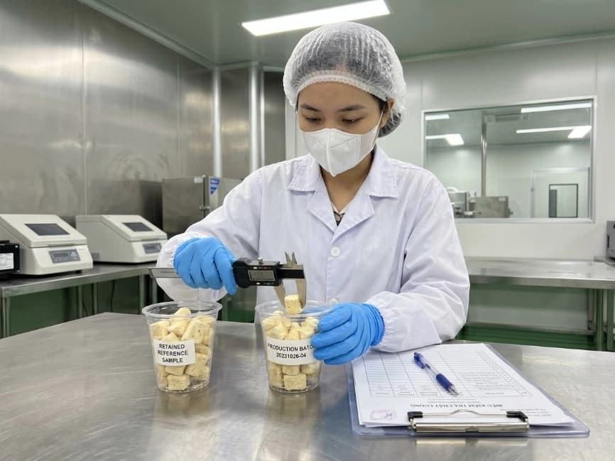 qa inspector inspecting freeze dried soursop retained sample against commercial production batch in lab
