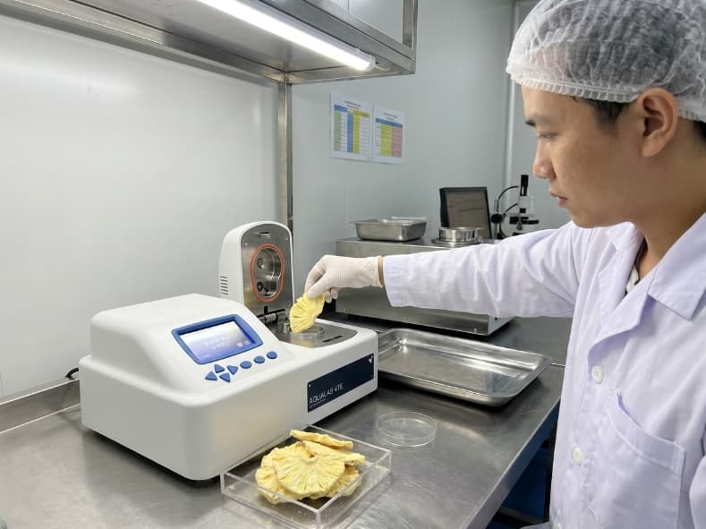 qa inspector measuring water activity of freeze dried pineapple in a vietnamese qc facility