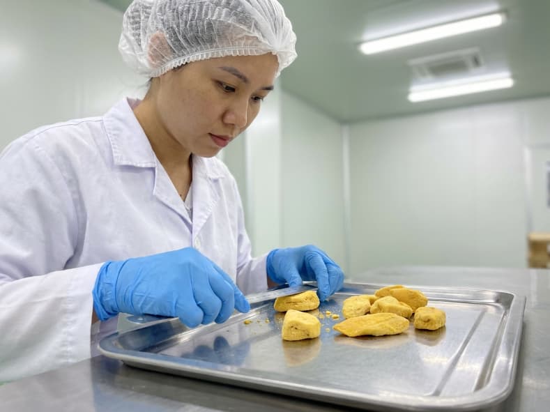 qc technician inspecting freeze dried mango piece size and breakage tolerance on a stainless steel tray