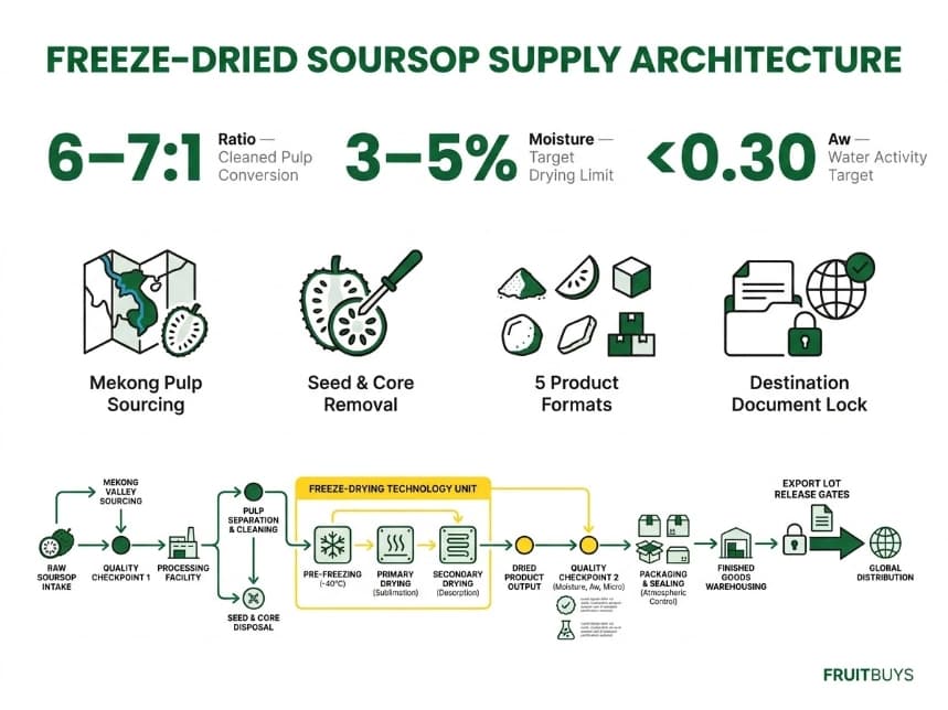 technical infographic architecture mapping freeze dried soursop b2b supply model, conversion ratio, and quality gates