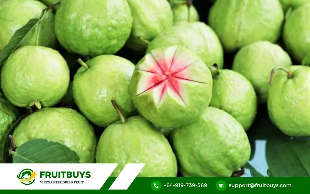 FruitBuys Vietnam 4. FruitBuys Vietnam_ Your Trusted Partner For Premium Dried Guava Powder