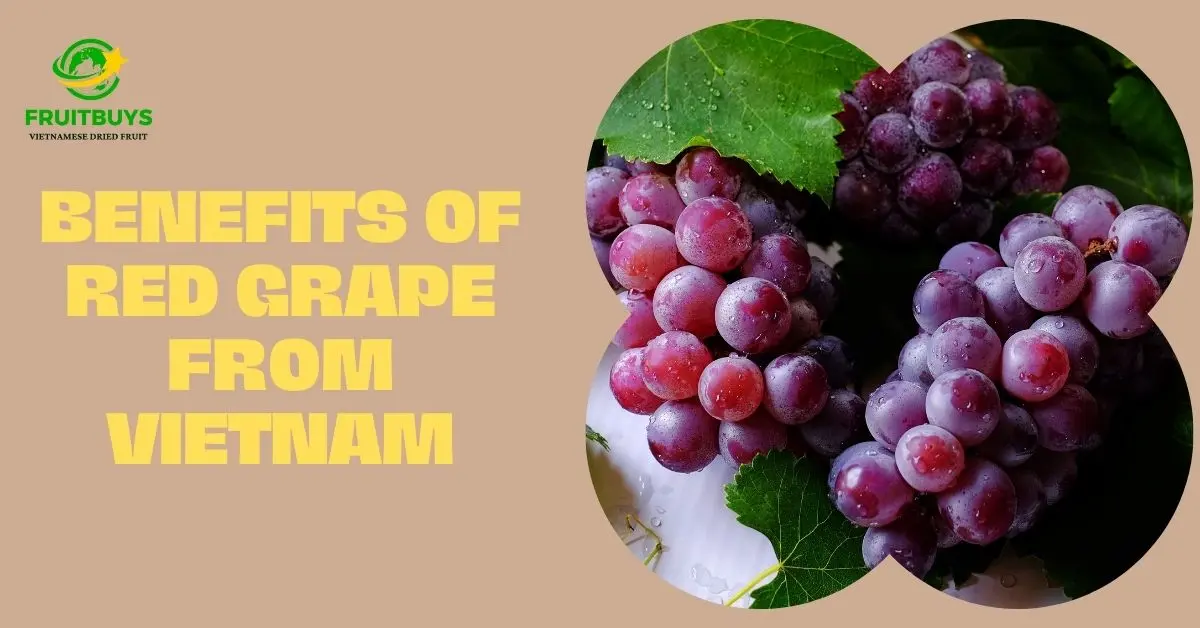 FruitBuys Vietnam Benefits Of Red Grape From Vietnam (1)