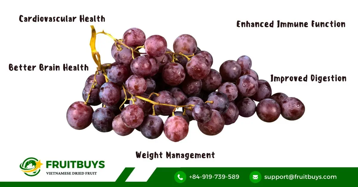 FruitBuys Vietnam Benefits Of Red Grape Powde
