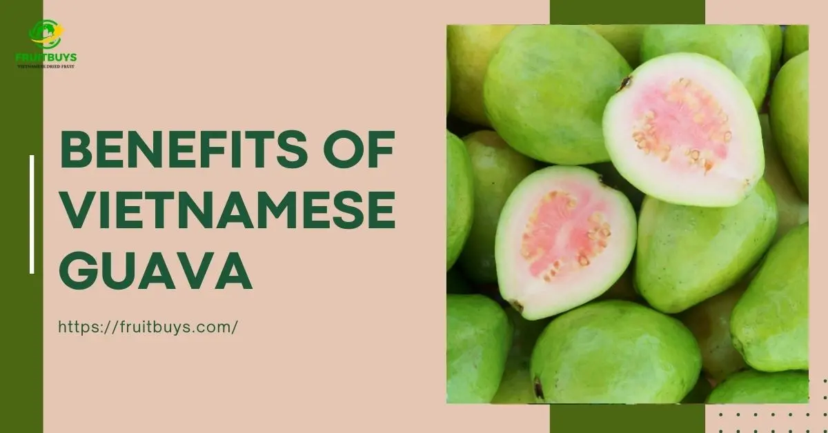 FruitBuys Vietnam Benefits Of Vietnamese Guava (1)