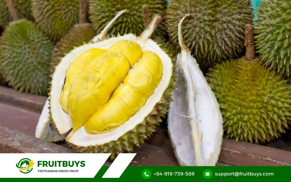 FruitBuys Vietnam Discover The Benefits Of Freeze Dried Durian Powder (1)