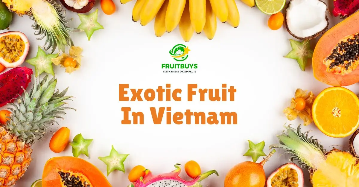 FruitBuys Vietnam Discovering The Exotic Wonders Of Vietnam's Fruit Basket