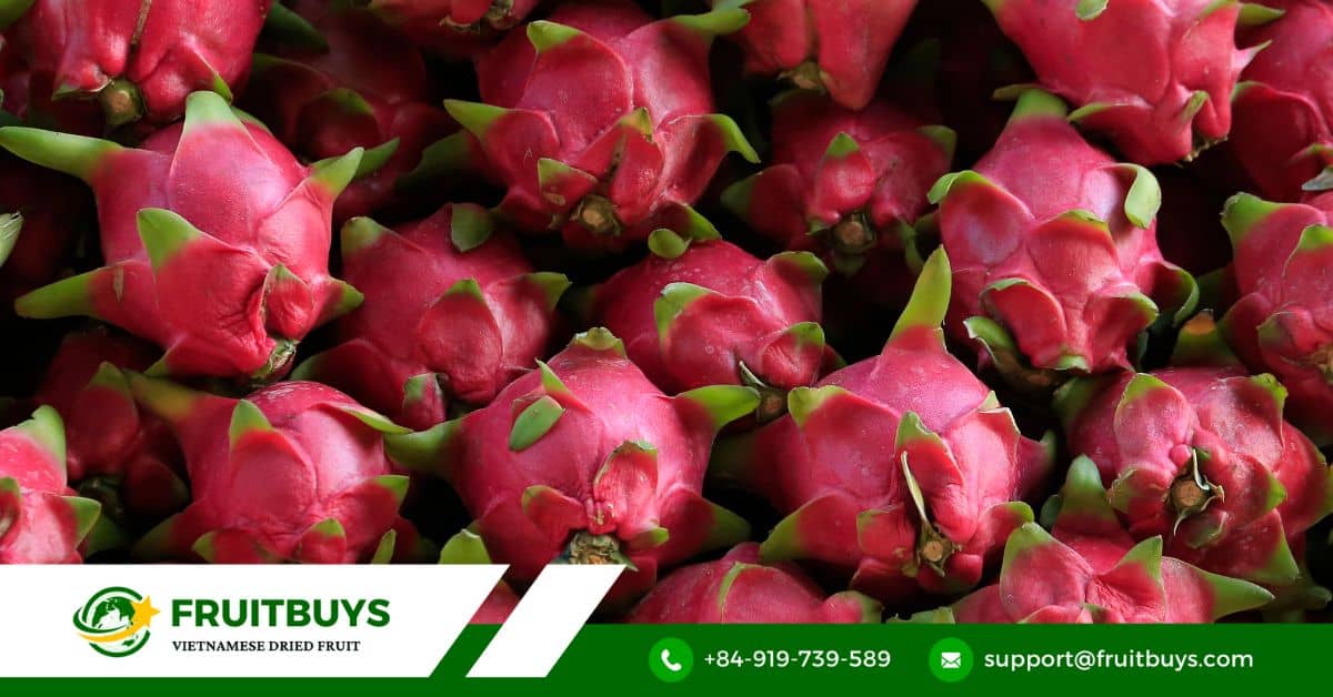 FruitBuys Vietnam Dragon Fruit