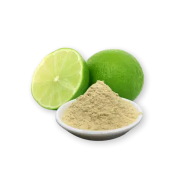 FruitBuys Vietnam Dried Lime Powder (Spray Drying)