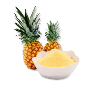 FruitBuys Vietnam Dried Pineapple Powder (Spray Drying) 240424