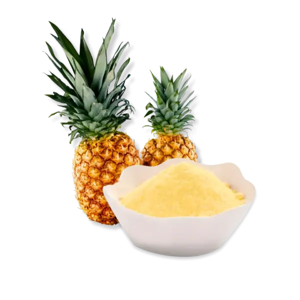 FruitBuys Vietnam Dried Pineapple Powder (Spray Drying) 240424