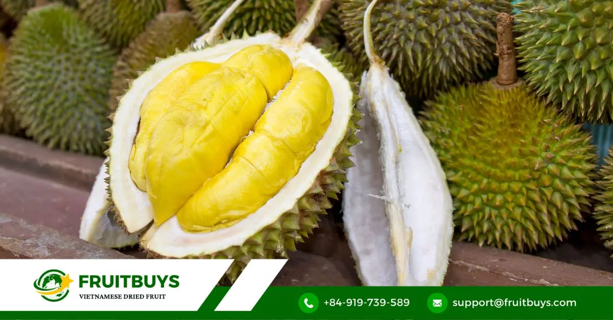 FruitBuys Vietnam Durian The King Of Fruits
