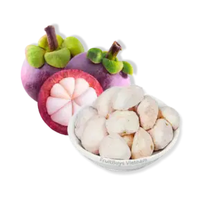 FruitBuys Vietnam Freeze Dried Mangosteen 240424