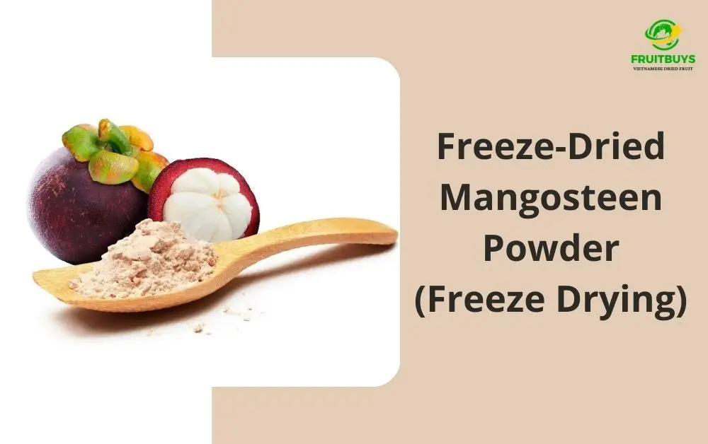 FruitBuys Vietnam Freeze Dried Mangosteen Powder (Freeze Drying)