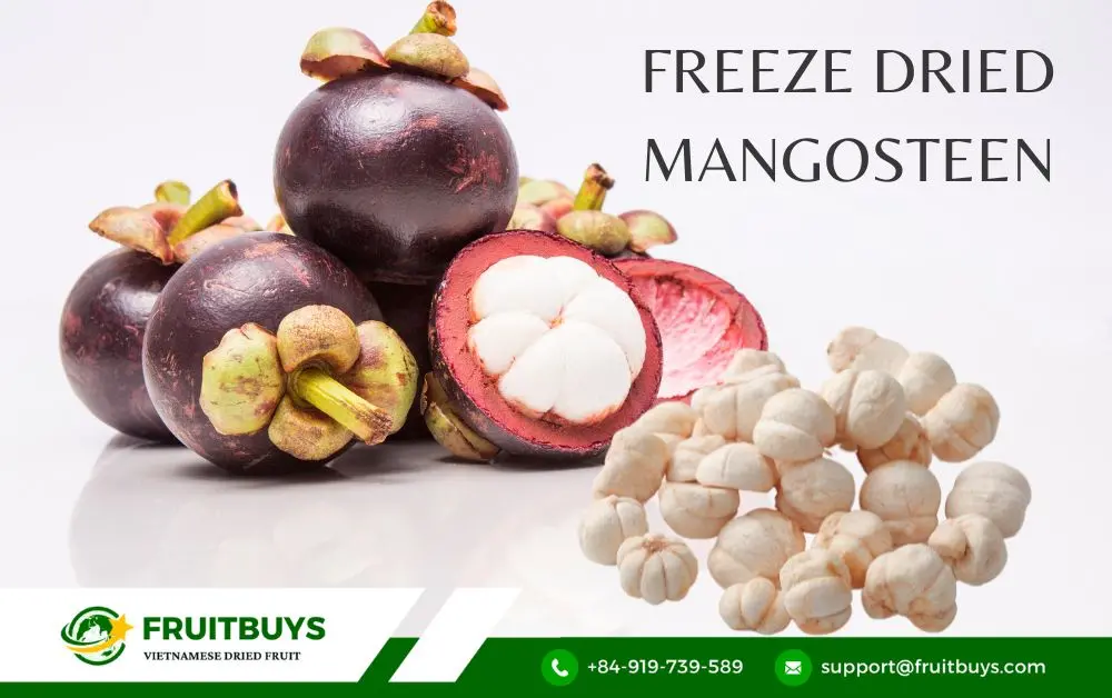 FruitBuys Vietnam Freeze Dried Mangosteen