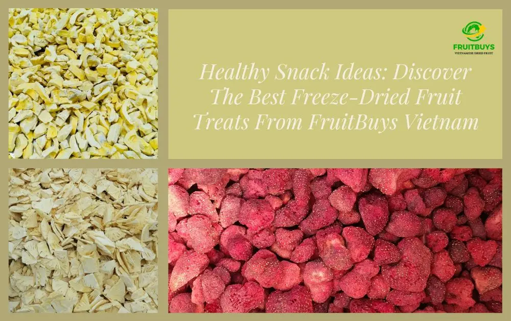 FruitBuys Vietnam Healthy Snack Ideas Discover The Best Freeze Dried Fruit Treats From FruitBuys Vietnam