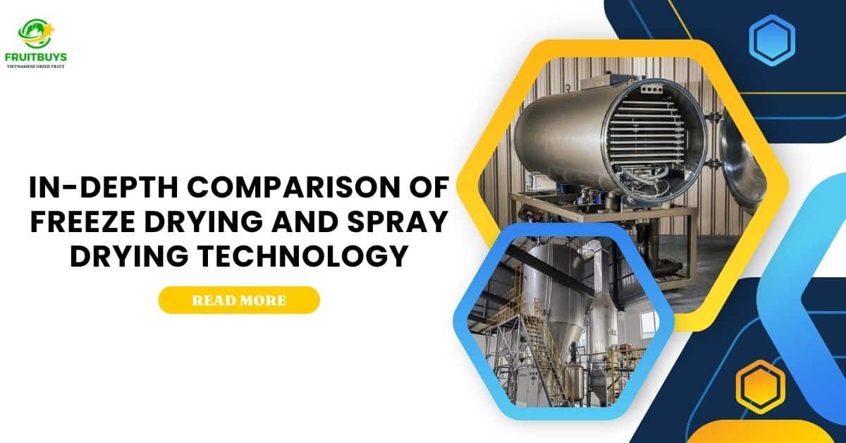 In Depth Comparison Of Freeze Drying And Spray Drying Technology