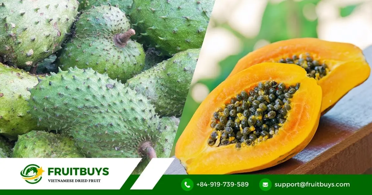 FruitBuys Vietnam Papaya (6)