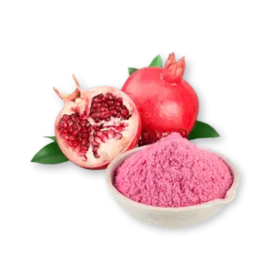 FruitBuys Vietnam Pomegranate Powder (Spray Drying)
