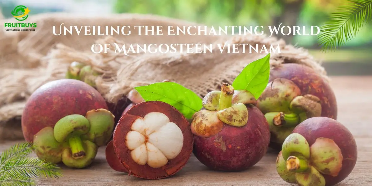 FruitBuys Vietnam Unveiling The Enchanting World Of Mangosteen Vietnam