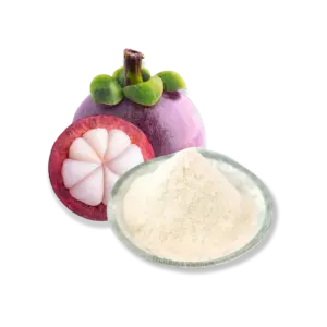 FruitBuys Vietnam W Freeze Dried Mangosteen Powder