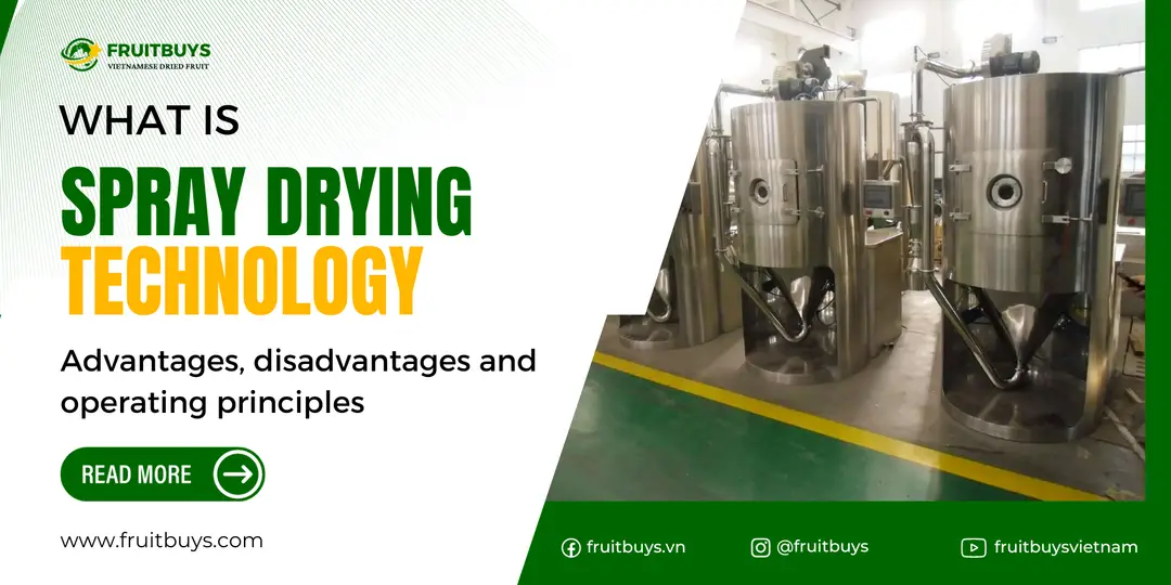 FruitBuys Vietnam What Is Spray Drying Technology_ Advantages, Disadvantages And Operating Principles 231228