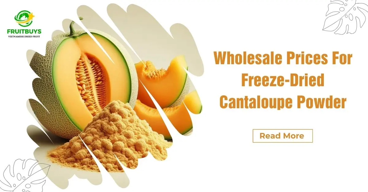 FruitBuys Vietnam Wholesale Prices For Freeze Dried Cantaloupe Powder